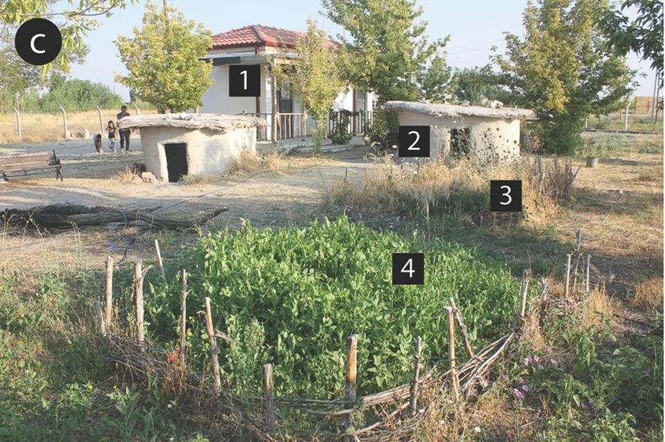 Teaching plants grow beside replica houses and the visitor centre